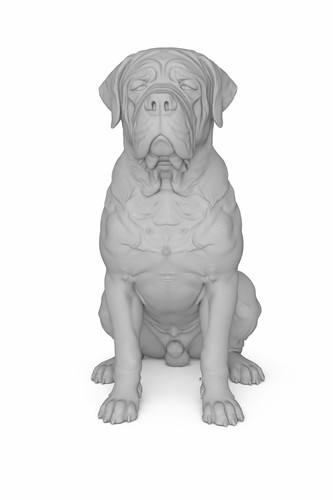 Realistic english mastiff - realistic,