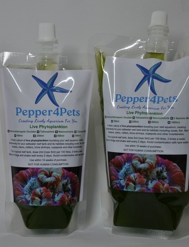 Marine phytoplankton - marine,