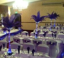 15 Large Ostrich Feathers