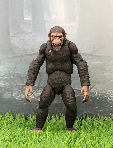 Neca dawn the planet - of,