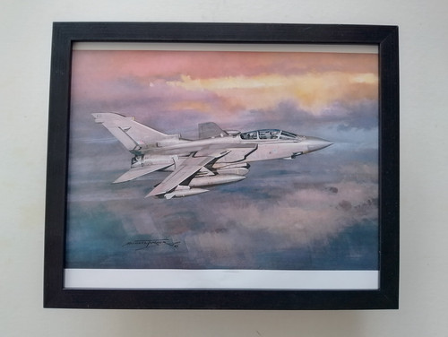 Michael turner aircraft print - aircraft,