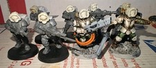 Valhallan Ice Warriors