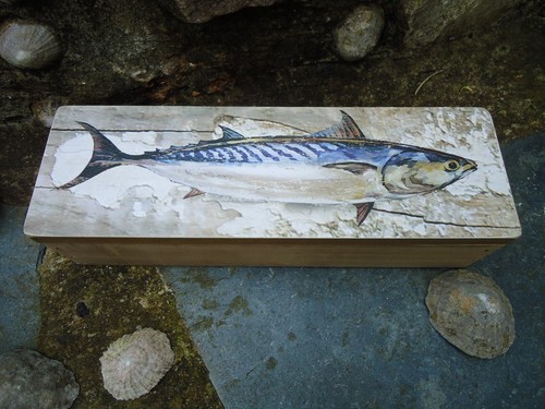 Mackerel fish wooden - mackerel, box