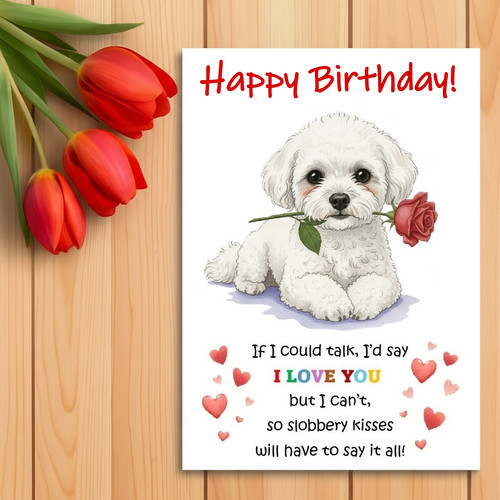 Bichon frise birthday - frise, card