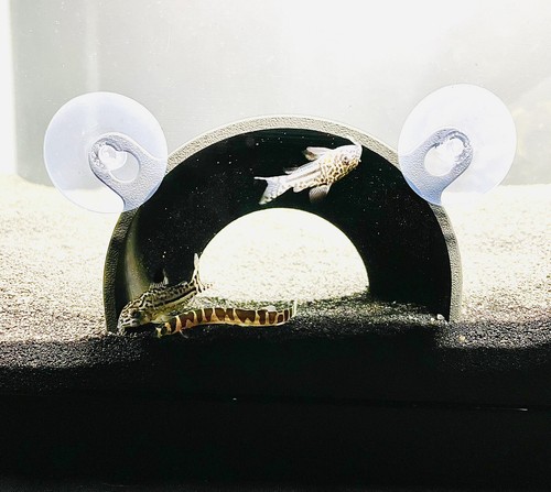 Axolotl hide cave aquarium - hide,