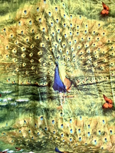 Peacock theme lot - 90x78, duvet