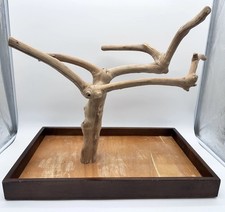 Java Tree Hardwood Mini Tree Conure, African Grey, Parrot Table Top Play Stand 