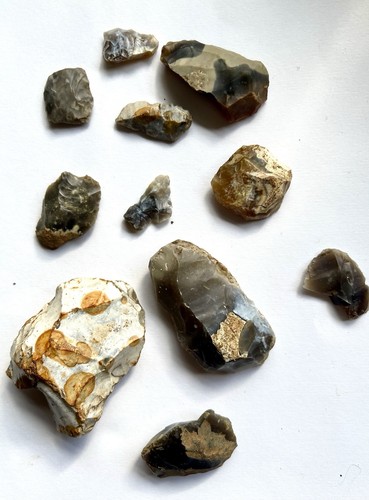 Selection british neolithic - of,