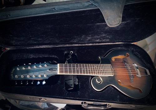 Gold tone mando guitar 12 - guitar, f-12