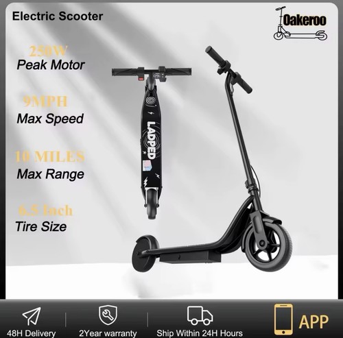 Ladped electric scooter 250w - ladped,