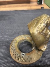  bull terrier Dog Front Door