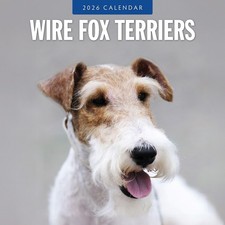 Wire Fox Terriers 2026 Square Wall Calendar