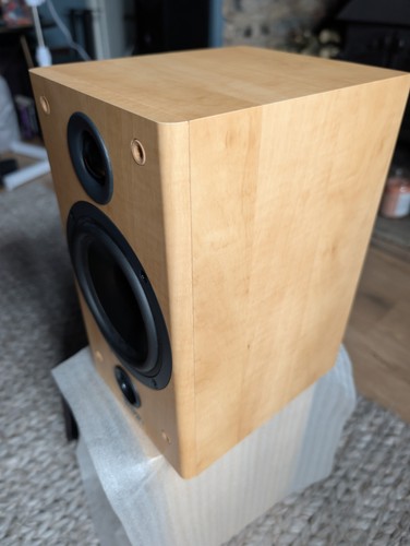 Tannoy mercury custom - mercury,