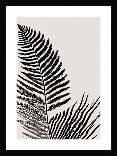 Serene fern fronds print - fern,