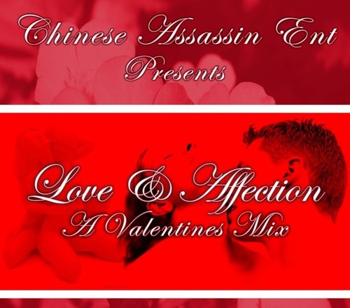 Chinese assassin love - dj's,
