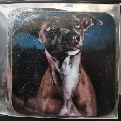 Mug coaster set - &, brown
