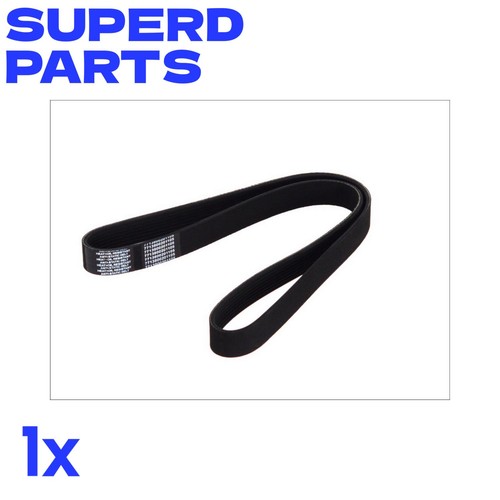 Ribbed belt 80094 for daf - belt,
