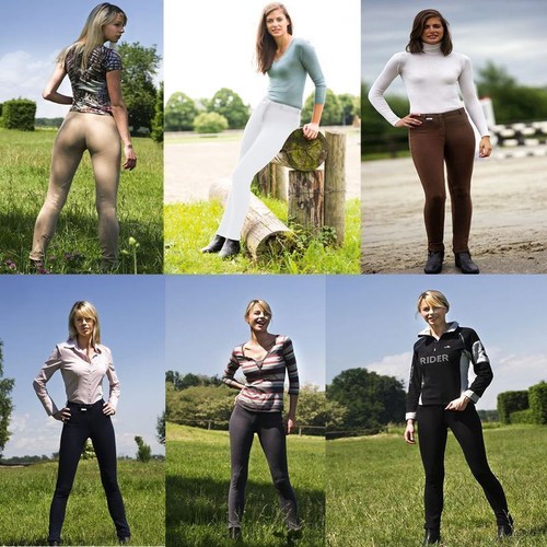Horse riding breeches ladies - horse,