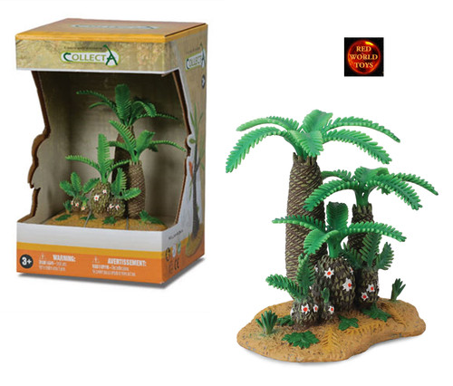 Monathesia cycadeoidea - monathesia,
