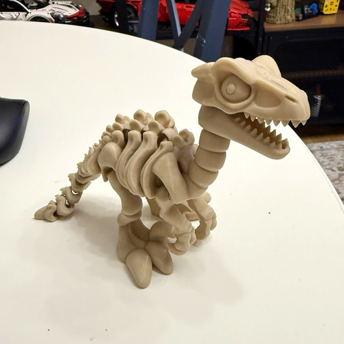 Dinosaur rex skeleton - t-rex,