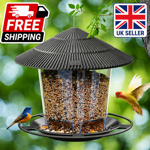 Hanging wild bird feeder - hanging,