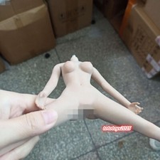1:6 Flexible Pale Skin Medium