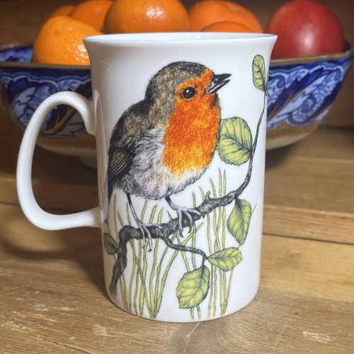 Robin bird mug - robin,