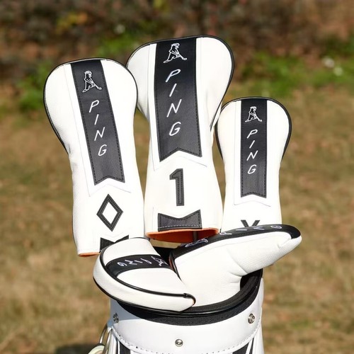 New ping golf driver - ping, fairway