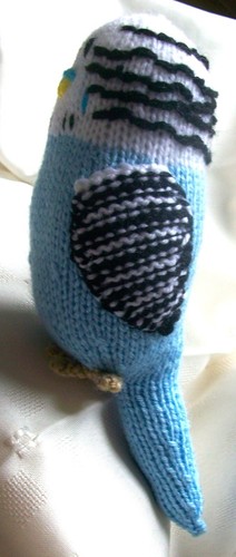 New handmade budgies