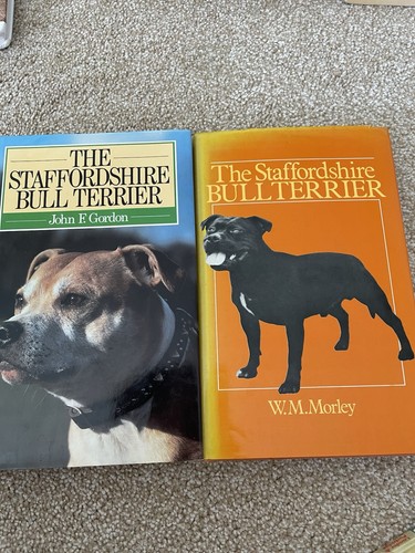 Staffordshire bull terrier - staffordshire,