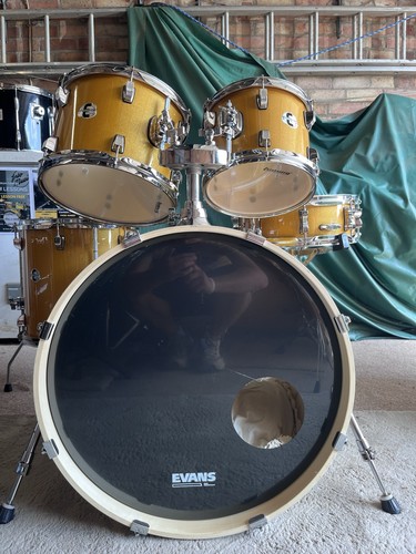Ludwig evolution sparkle - evolution,