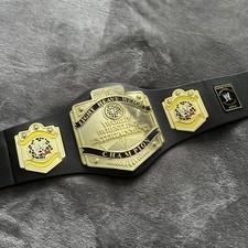 2006  WWE Wrestling Light