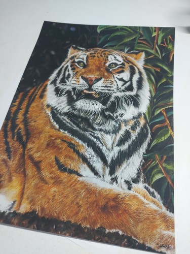 Tiger giclée art - giclée, prints