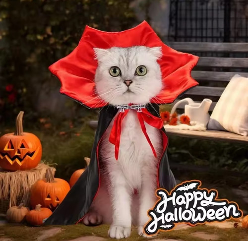 Halloween vampire witch - vampire,