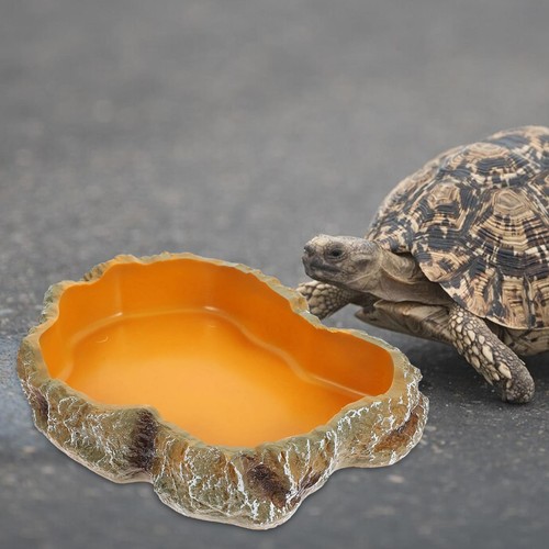 Reptile water bowls - water,