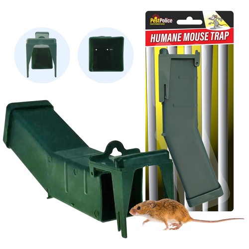 Humane mouse trap - no, kill