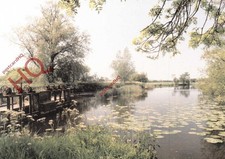 Picture Postcard_ Dorset