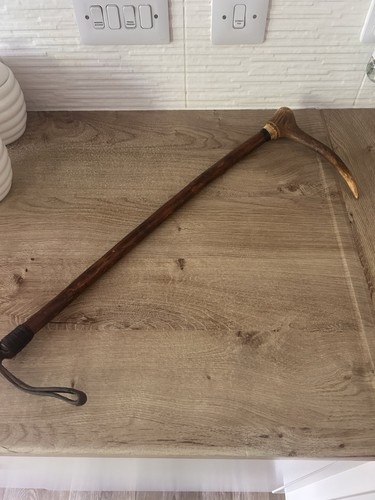 Horse riding crop - riding,