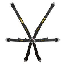 Schroth Flexi 2x2 6 Point