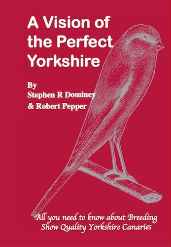 Vision the perfect - a,