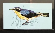 TETLEY (TEA CARD)-BRITISH BIRDS 1970-#8-WHEATEAR (MALE IN SUMMER) 