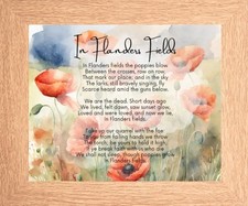 IN FLANDER'S FIELDS THE