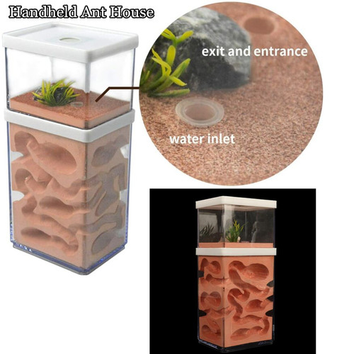Ant farm box - farm, kids