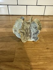 Vintage Chessel Pottery Urchin