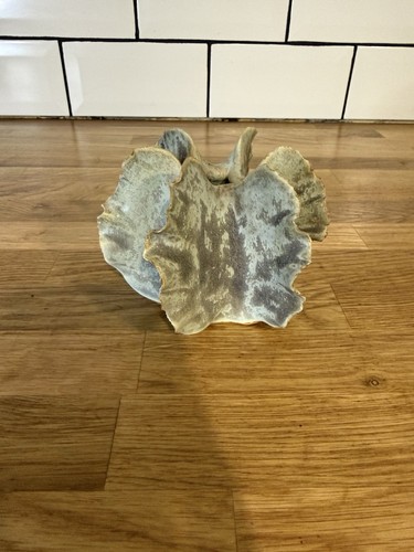 Vintage chessel pottery urchin - chessel,