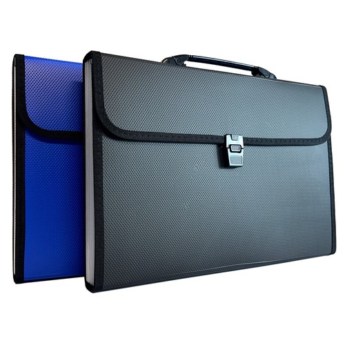 Expanding file pocket - file, 13
