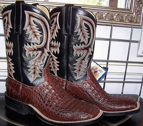 Anderson bean sportrust caiman - anderson,