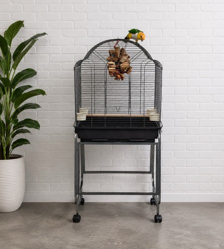 Antique brasil parrot cage - antique,