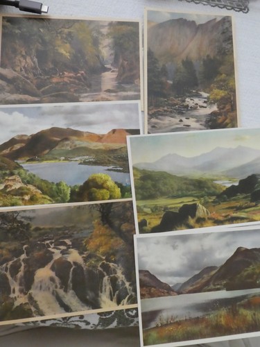 Set vintage judges artist - judges,