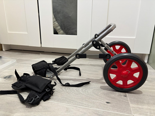 Dog wheels for - , legs,